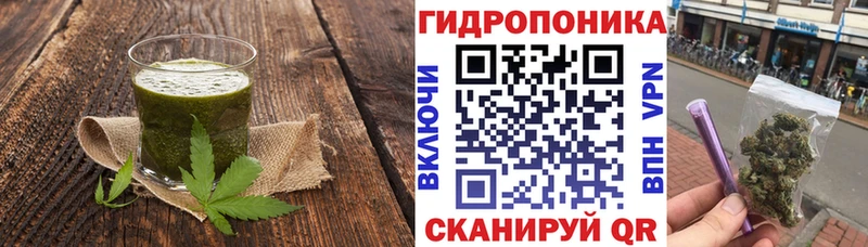Cannafood марихуана  что такое   Мариинский Посад 