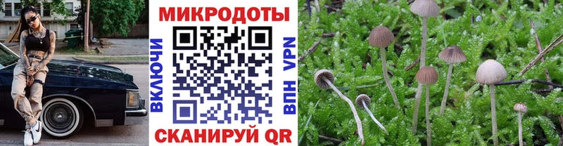 Псилоцибиновые грибы MAGIC MUSHROOMS  Мариинский Посад 
